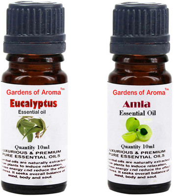 

Gardens Of Aroma Eucalyptus Essential Oil And Amla Essential Oil(20 ml)