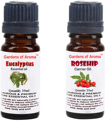 Gardens Of Aroma Eucalyptus Essential Oil And Rosehip Carrier Oil(20 ml)
