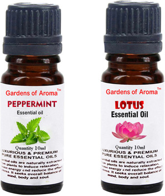 

Gardens Of Aroma Peppermint Essential Oil And Lotus Essential Oil(20 ml)