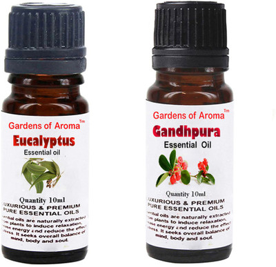 

Gardens Of Aroma Eucalyptus Essential Oil And Gandhpura Essential Oil(20 ml)