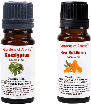 

Gardens Of Aroma Eucalyptus Essential Oil And Seabukthorn Essential Oil(20 ml)