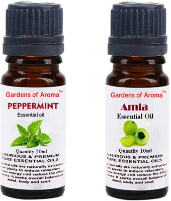 

Gardens Of Aroma Peppermint Essential Oil And Amla Essential Oil(20 ml)