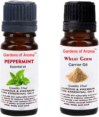 

Gardens Of Aroma Peppermint Essential Oil And Wheatgerm Carrier Oil(20 ml)