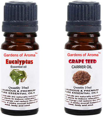 

Gardens Of Aroma Eucalyptus Essential Oil And Grapeseed Carrier Oil(20 ml)