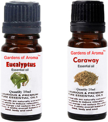 

Gardens Of Aroma Eucalyptus Essential Oil And Caraway Essential Oil(20 ml)