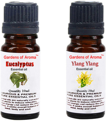 

Gardens Of Aroma Eucalyptus Essential Oil And Ylang Ylang Essential Oil(20 ml)