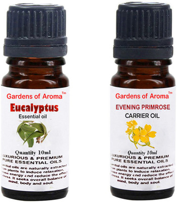 

Gardens Of Aroma Eucalyptus Essential Oil And Evening primrose Carrier Oil(20 ml)