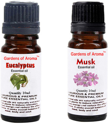 

Gardens Of Aroma Eucalyptus Essential Oil And Musk Essential Oil(20 ml)