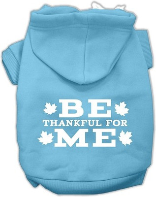 

Mirage Pet Products Hoodie for Dog(Baby Blue