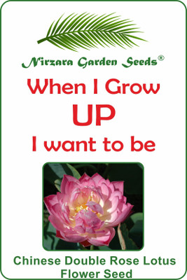 

Nirzara Garden Seeds Chinese Double Rose Lotus Flower Seeds Seed(2 per packet)