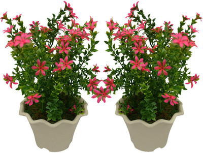 

Fancymart FP-0223-Set-2-426 Multicolor Wild Flower Artificial Flower with Pot(5 inch, Pack of 2)