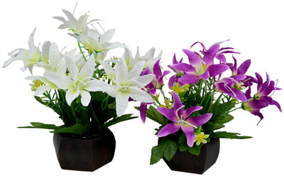 

Fancymart FP-0293-462 Multicolor Wild Flower Artificial Flower with Pot(4.5 inch, Pack of 2)