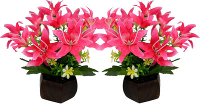 

Fancymart FP-0267-Set-2-446 Multicolor Wild Flower Artificial Flower with Pot(4.5 inch, Pack of 2)