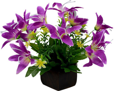 

Fancymart FP-0266-438 Multicolor Wild Flower Artificial Flower with Pot(4.5 inch, Pack of 1)