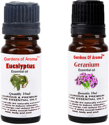 Gardens Of Aroma Eucalyptus Essential Oil And Ginger Essential Oil(20 ml)