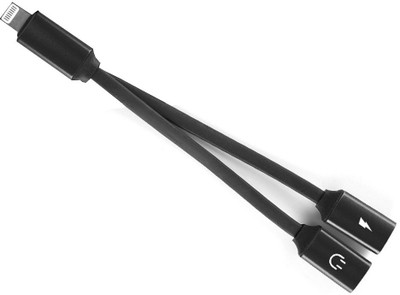 Dual lightning on sale port adapter