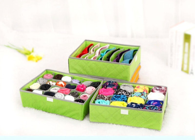 

House of Quirk Lingerie Travel Case, Storage Case(Bra and Panty, Pack of 3)