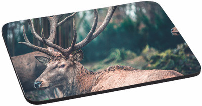 

PRINTHUBS Painting Designer | Printed Mouse Pad | High Quality Waterproof Coating Gaming Mouse Pad (Multicolor) -276 Mousepad(Multicolor)