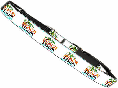 

Mirage Pet Products Dog Everyday Collar(, Multicolor