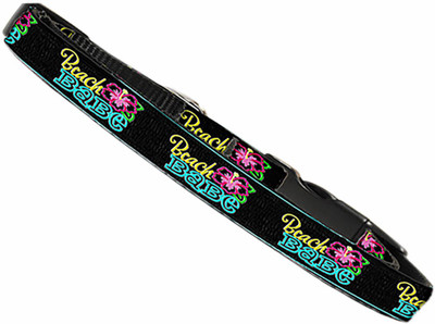 

Mirage Pet Products Dog Everyday Collar(, Multicolor