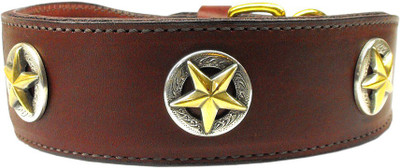 

Mirage Pet Products Dog Everyday Collar(, Brown