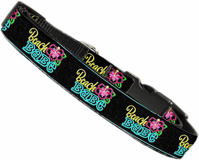 

Mirage Pet Products Dog Everyday Collar(, Multicolor