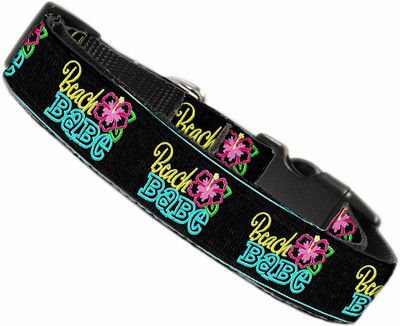 

Mirage Pet Products Dog Everyday Collar(, Multicolor