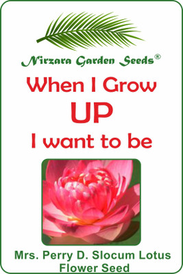 

Nirzara Garden Seeds Mrs. Perry D. Slocum Lotus Flower Seeds Seed(2 per packet)