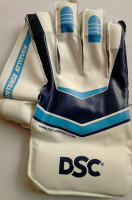 

DSC Intense Attitude Wicket Keeping Gloves (Men, White, Blue), Blue;white
