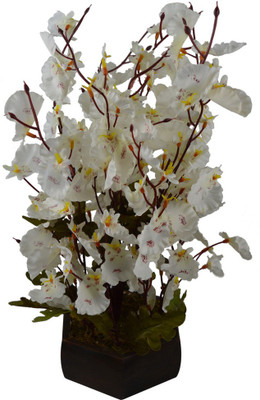 

Fancymart FP-0102 Multicolor Wild Flower Artificial Flower with Pot(25 inch, Pack of 1)