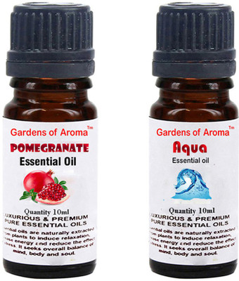 

Gardens Of Aroma Pomegranate Essential Oil And Aqua Essential Oil(20 ml)