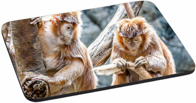 

PRINTHUBS Painting Designer | Printed Mouse Pad | High Quality Waterproof Coating Gaming Mouse Pad (Multicolor) -282 Mousepad(Multicolor)