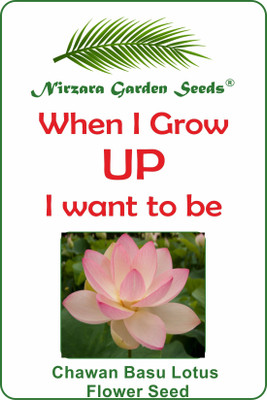 

Nirzara Garden Seeds Chawan Basu Lotus Flower Seeds Seed(2 per packet)