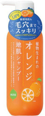 

ISHIZAWA The Orange Skin Shampoo Born From A Plant Ingredient(400 ml)