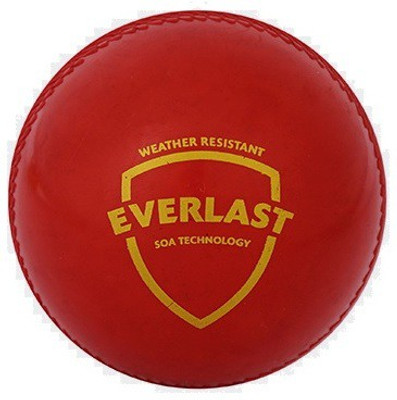 SG SG-Everlast (Synthetic) Cricket Ball Pack of -1 Cricket Training Ball(Pack of 1, Red)