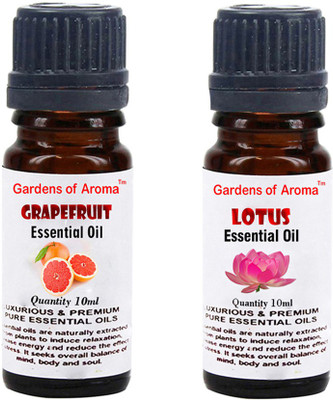 

Gardens Of Aroma Grapefruit Essential Oil And Lotus Essential Oil(20 ml)