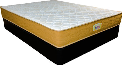 

Boston Bonnel 6 inch Queen Bonnell Spring Mattress