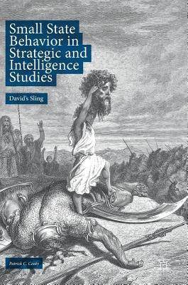 Small State Behavior in Strategic and Intelligence Studies(English, Hardcover, Coaty Patrick C.)
