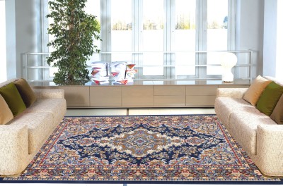STATUS Blue Nylon Carpet(4 ft,  X 6 ft, Rectangle)