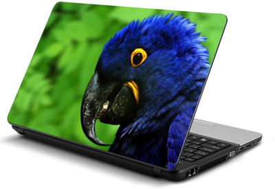 

PRINTCLUB Blue Parrot Laptop Sticker 15.6 inch-Laptop Skin-2018-27 Vinyl Laptop Decal 15.6