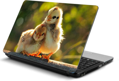 

PRINTCLUB Cute Chicks Laptop Sticker 15.6 inch-Laptop Skin-2018-49 Vinyl Laptop Decal 15.6