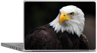 

LUCANT Eagle Laptop skin designer,multicolor free Size For 13 inch to 15.6 inch Laptops Decal Skins Vinyl Laptop Decal 15.6