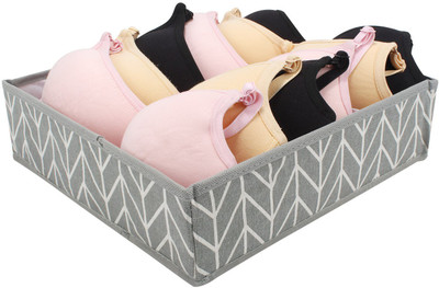 

HOKIPO Lingerie Storage Case(Bra and Panty, Pack of 1)