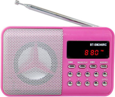 CRETO BIT SM246 Fm radio support usb pendrive , memory card, aux in , recording FM Radio(pink)