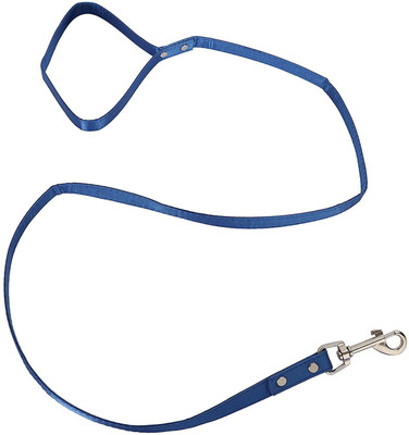 

Sri High Quality Long Leash with Soft Handle For Kitten | Cats | Puppies 114.3 cm Dog & Cat Strap Leash(Blue)