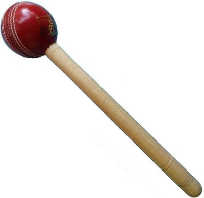 Raider Cricket Bat Knocking Ball's Mallet Wooden, Leather Ball Bat Mallet