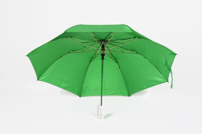 

Anchor Auto Open 2 Fold Umbrella(Green)