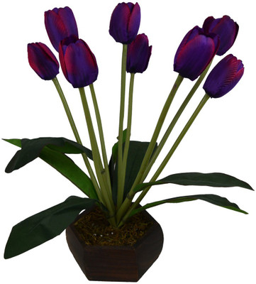 

Fancymart FP-0791-619 Multicolor Tulips Artificial Flower with Pot(5 inch, Pack of 1)