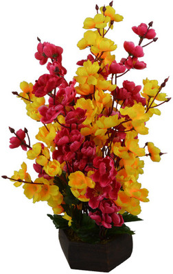 

Fancymart FP-0840-662 Multicolor Wild Flower Artificial Flower with Pot(7 inch, Pack of 1)