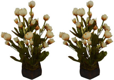 

Fancymart FP-0775-605 Multicolor Rose Artificial Flower with Pot(5 inch, Pack of 2)